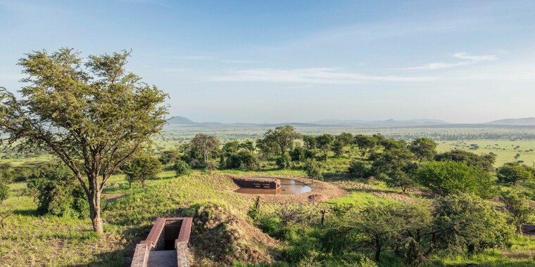 Join the My Best Frame Photo Contest and win an all paid safari trip of ...